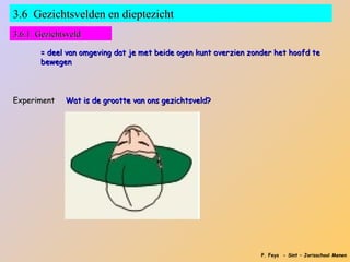 3.6 Gezichtsvelden en dieptezicht
3.6.1 Gezichtsveld

       = deel van omgeving dat je met beide ogen kunt overzien zonder het hoofd te
       bewegen



Experiment   Wat is de grootte van ons gezichtsveld?




                                                                  P. Feys - Sint – Jorisschool Menen
 