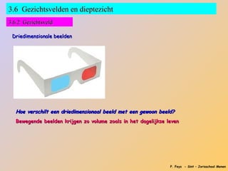 3.6 Gezichtsvelden en dieptezicht
3.6.2 Gezichtsveld

 Driedimensionale beelden




  Hoe verschilt een driedimensionaal beeld met een gewoon beeld?
  Bewegende beelden krijgen zo volume zoals in het dagelijkse leven




                                                               P. Feys - Sint – Jorisschool Menen
 
