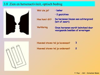 3.8 Zien en hersenactiviteit, optisch bedrog
                        Wat zie je?     • beker
                                        • 2 gezichten

                        Hoe komt dit?   De hersenen kiezen een achtergrond
                                        (wit of zwart)

                        Verklaring      Onze hersenen wordt beïnvloed door
                                        voorgaande beelden of ervaringen




                        Hoeveel staven tel je bovenaan?   3

                        Hoeveel staven tel je onderaan?   2




                                                          P. Feys - Sint – Jorisschool Menen
 