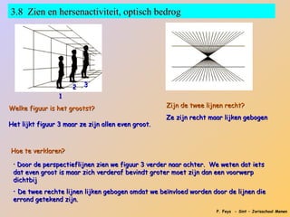 3.8 Zien en hersenactiviteit, optisch bedrog




                      2   3
                 1
Welke figuur is het grootst?                        Zijn de twee lijnen recht?
                                                    Ze zijn recht maar lijken gebogen
Het lijkt figuur 3 maar ze zijn allen even groot.



Hoe te verklaren?

 • Door de perspectieflijnen zien we figuur 3 verder naar achter. We weten dat iets
 dat even groot is maar zich verderaf bevindt groter moet zijn dan een voorwerp
 dichtbij
 • De twee rechte lijnen lijken gebogen omdat we beïnvloed worden door de lijnen die
 errond getekend zijn.
                                                                    P. Feys - Sint – Jorisschool Menen
 