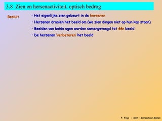 3.8 Zien en hersenactiviteit, optisch bedrog
Besluit    • Het eigenlijke zien gebeurt in de hersenen

           • Hersenen draaien het beeld om (we zien dingen niet op hun kop staan)
           • Beelden van beide ogen worden samengevoegd tot één beeld
           • De hersenen ‘verbeteren’ het beeld




                                                               P. Feys - Sint – Jorisschool Menen
 
