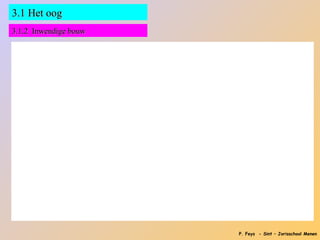 3.1 Het oog
3.1.2 Inwendige bouw




                       P. Feys - Sint – Jorisschool Menen
 