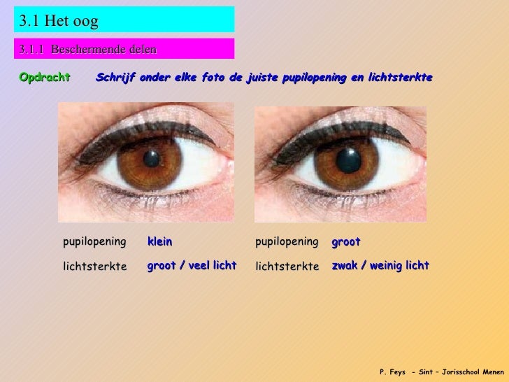 Een Groot En Klein Oog