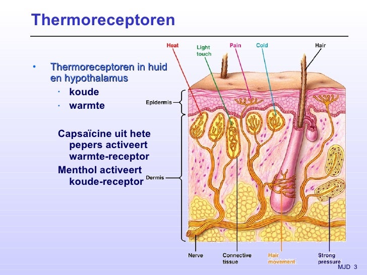 De bronafbeelding bekijken