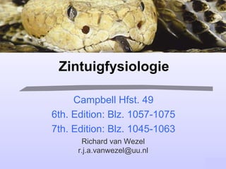 Zintuigfysiologie Richard van Wezel [email_address] Campbell Hfst. 49 6th. Edition: Blz. 1057-1075 7th. Edition: Blz. 1045-1063 