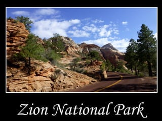Zion National Park
 