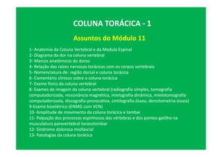 Assuntos do Módulo 11
COLUNA TORÁCICA - 1
1- Anatomia da Coluna Vertebral e da Medula Espinal
2- Diagrama da dor na coluna vertebral
3- Marcos anatômicos do dorso
4- Relação das raízes nervosas torácicas com os corpos vertebrais
5- Nomenclatura de: região dorsal e coluna torácica
6- Comentário clínicos sobre a coluna torácica
7- Exame físico da coluna vertebral
8- Exames de imagem da coluna vertebral (radiografia simples, tomografia
computadorizada, ressonância magnética, mielografia dinâmica, mielotomografia
computadorizada, discografia provocativa, cintilografia óssea, densitometria óssea)
9-Exame bioelétrico (ENMG com VCN)
10- Amplitude de movimento da coluna torácica e lombar
11- Palpação dos processos espinhosos das vértebras e dos pontos-gatilho na
musculatura paravertebral toracolombar
12- Síndrome dolorosa miofascial
13- Patologias da coluna torácica
 