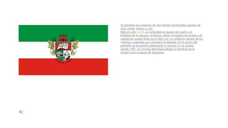 Su bandera se compone de tres franjas horizontales iguales de
color verde, blanco y rojo.
Bajo el color verde, se simboliza la riqueza del suelo y la
fertilidad de la sabana; el blanco, alude la insignia de pureza y la
calidad de ciudad Real de la Villa y el rojo refleja la sangre de los
mártires y patriotas por conseguir la libertad. En el centro del
pabellón se encuentra estampado el escudo d e la ciudad.
Desde 1981, el Concejo Municipal adoptó la bandera de la
ciudad como insignia de Zipaquirá.
 