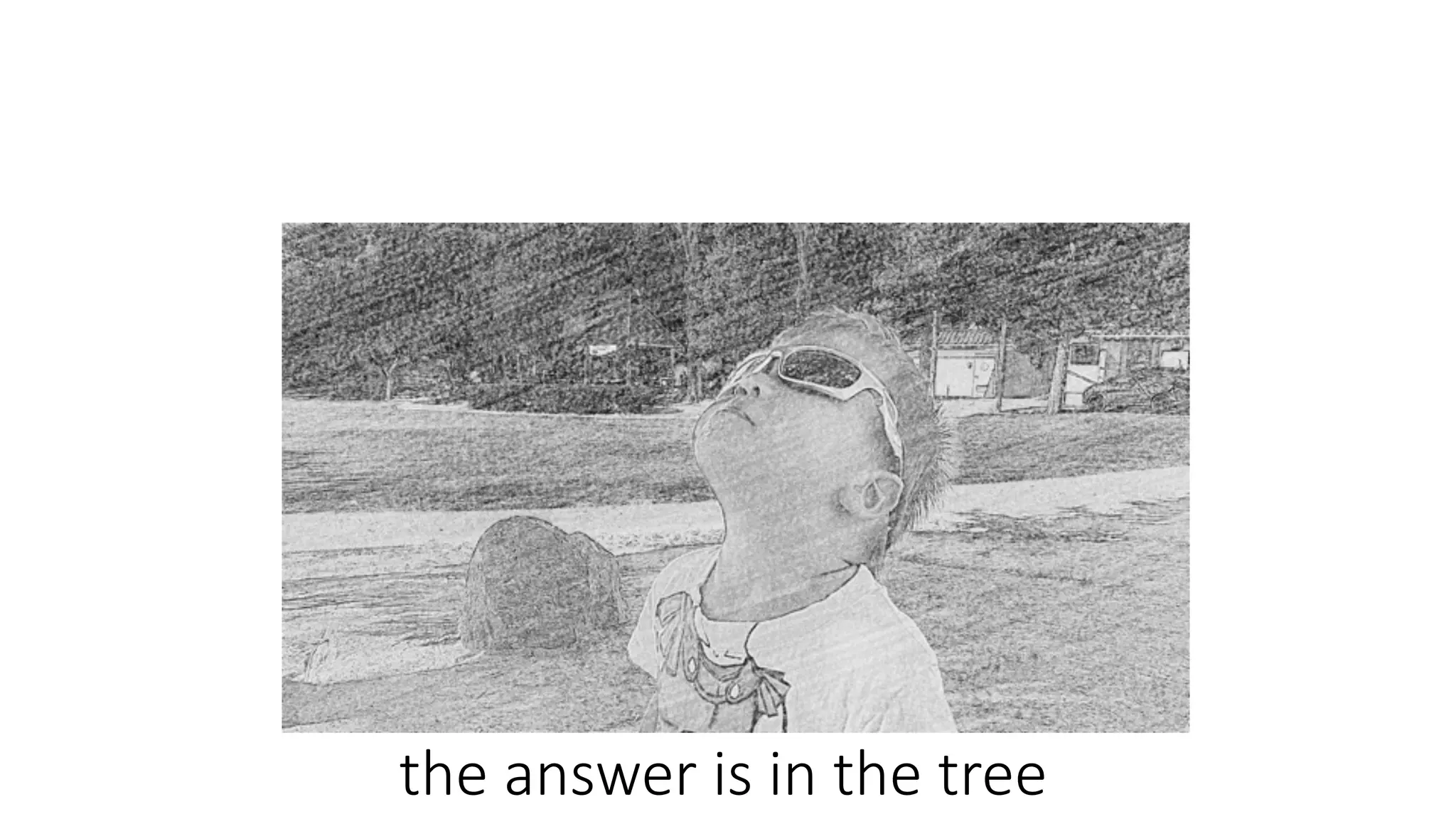 the	answer	is	in	the	tree
 