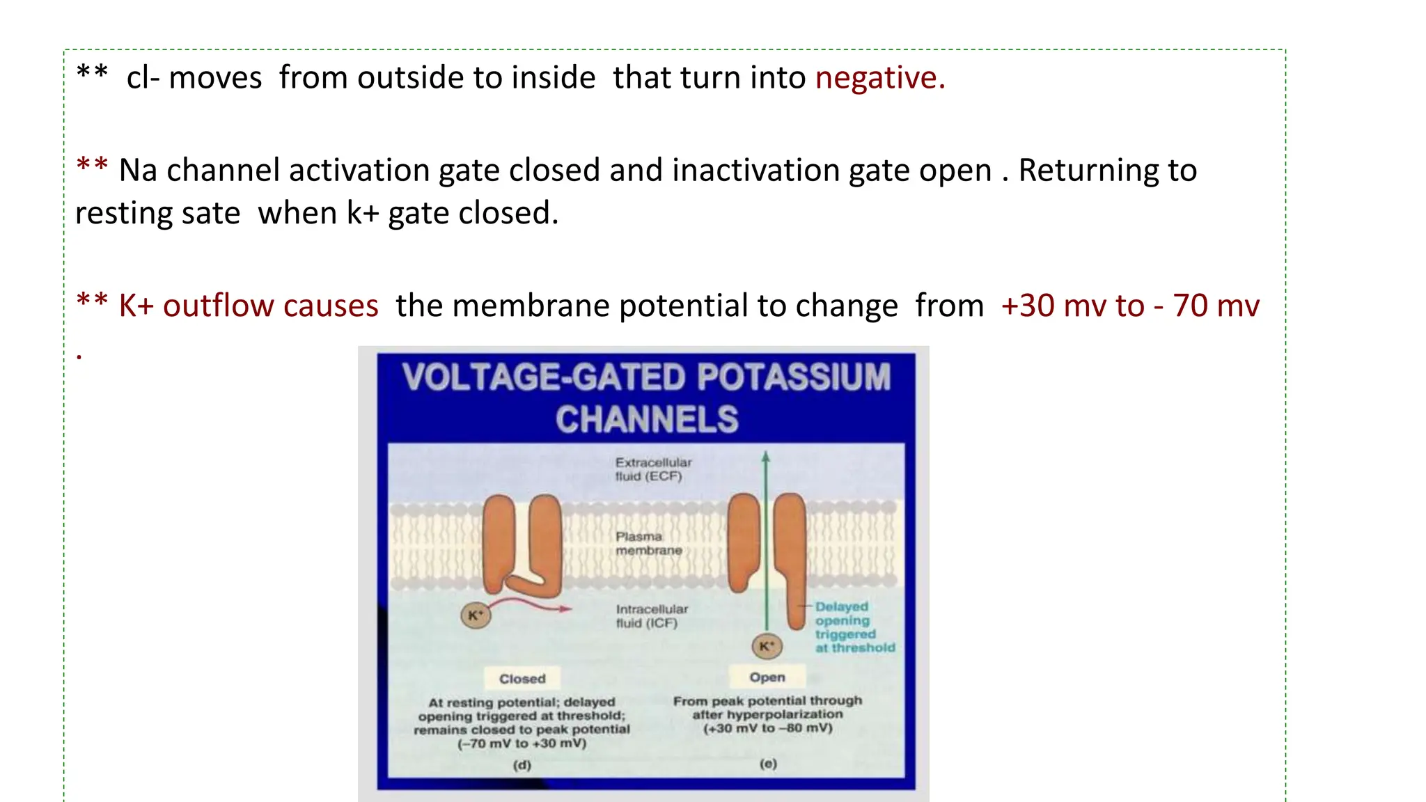 ** cl- moves from outside to inside that turn into negative.
** Na channel activation gate closed and inactivation gate open . Returning to
resting sate when k+ gate closed.
** K+ outflow causes the membrane potential to change from +30 mv to - 70 mv
.
 