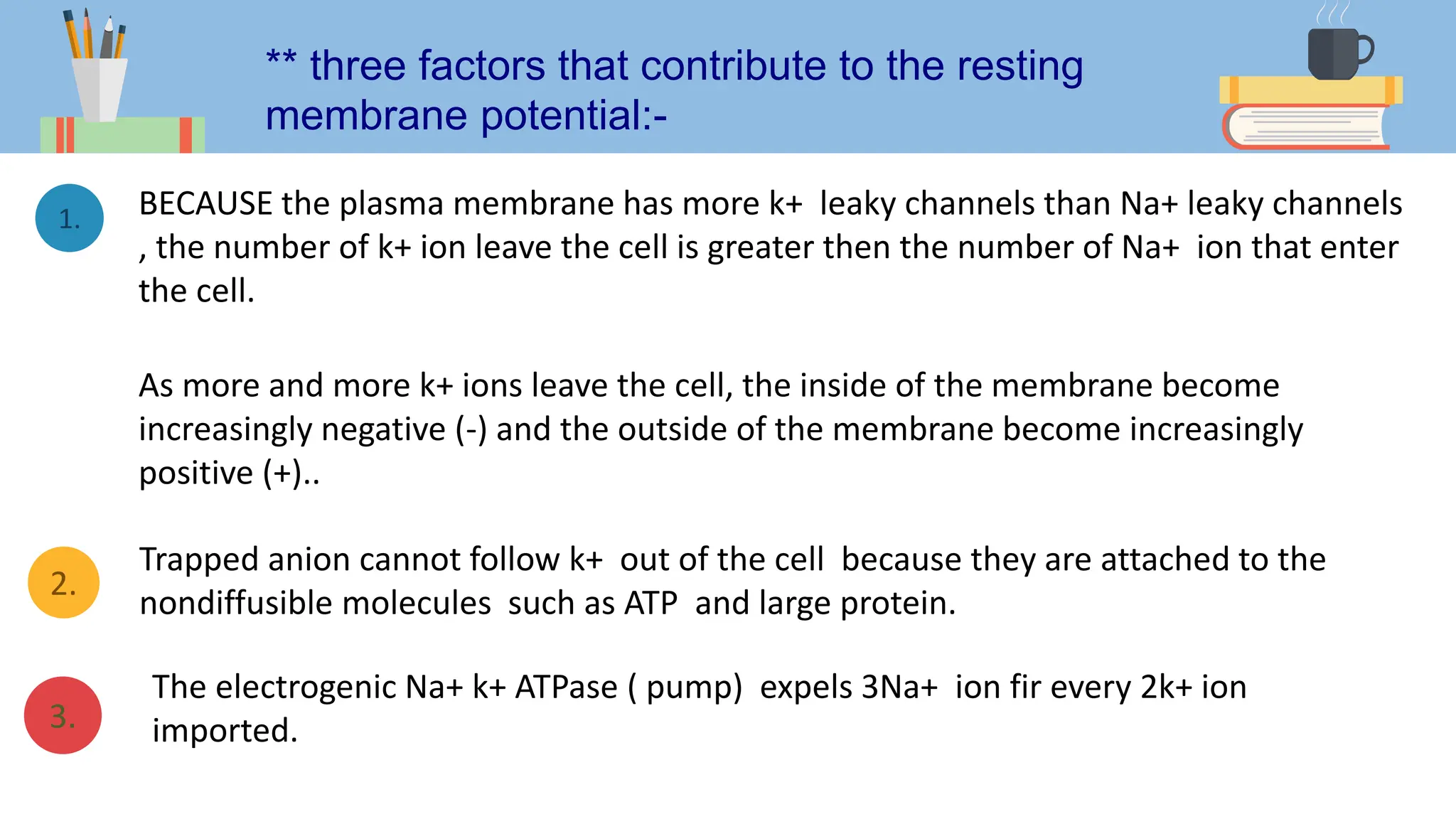 1.
3.
2.
** three factors that contribute to the resting
membrane potential:-
BECAUSE the plasma membrane has more k+ leaky channels than Na+ leaky channels
, the number of k+ ion leave the cell is greater then the number of Na+ ion that enter
the cell.
As more and more k+ ions leave the cell, the inside of the membrane become
increasingly negative (-) and the outside of the membrane become increasingly
positive (+)..
Trapped anion cannot follow k+ out of the cell because they are attached to the
nondiffusible molecules such as ATP and large protein.
The electrogenic Na+ k+ ATPase ( pump) expels 3Na+ ion fir every 2k+ ion
imported.
 