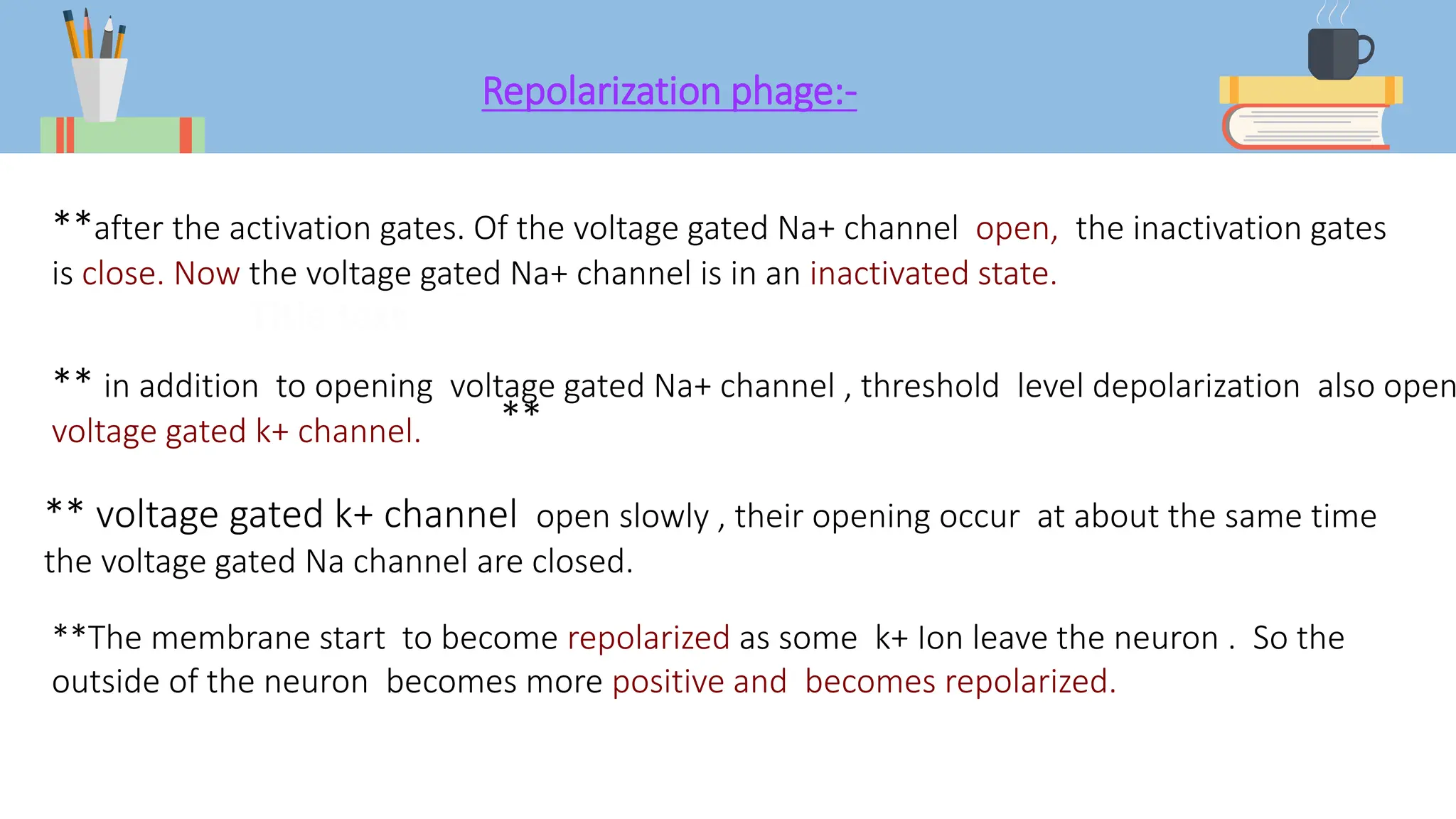 Repolarization phage:-
**after the activation gates. Of the voltage gated Na+ channel open, the inactivation gates
is close. Now the voltage gated Na+ channel is in an inactivated state.
** in addition to opening voltage gated Na+ channel , threshold level depolarization also open
voltage gated k+ channel.
** voltage gated k+ channel open slowly , their opening occur at about the same time
the voltage gated Na channel are closed.
**
**The membrane start to become repolarized as some k+ Ion leave the neuron . So the
outside of the neuron becomes more positive and becomes repolarized.
 