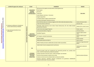 75
IKASTETXEARENHEZKUNTZAPRPOIEKTUA
IkastetxearenHezkuntzaProiektuaegitekogida(EuskoJaurlaritza,2014)
1/1993 EEP Legearen 46. artikuluan ZELAN LANABESAK NOIZKO
 Euskararen erabileraren normalkuntza
lortzera bideratutako jarraibideak.
 Inguruneko gizartearekiko lotura-
harremanak.
IKASTETXEKOHIZKUNTZAPROIEKTUA
HIZKUNTZEN
ESPARRU
DIDAKTIKO-
METODOLOGIKOA
HIZKUNTZA
NORMALKUNTZA
PROIEKTUA
ETA
ATZERRIKO
HIZKUNTZEI
LOTUTAKO
PROIEKTUAK
Mintzamena (hitz egiteko eta elkarrizketan aritzeko gaitasnuna)
Elkarreragina
Idazmena
Irakurmena
Irakurritakoaren ulermena - Entzumena
Gogoeta linguistikoa
A ereduko ikasleen ezagutza indartzeko ekina
B ereduko Batxilergoak zabaltzeko ekimena
2015-2016
2014-2018 Normalkuntza Proiektuari dagokion 2015-2016 Urteko Normalkuntza Plana Irailaren 30a baino lehen
Urteko Normalkuntza Memoria Ekainaren 30a
NOLEGAko deialdi bateratua (orain arteko: Ahozko Adierazmena, IKE, EGE, IKABIL deialdia
guztiak biltzen dituena )
Irailaren 2tik urriaren 2a arte
Euskal Girotze Barnetegiak Programa Otsaila-.apirila
Urruzunotarrak Gehituz Programa Urtarrila-martxoa
Ikas2deak Programa
Irailaren 15etik urriaren
15era
EIE Programa. Idazleak Ikastetxeetan
Irailaren 15etik urriaren
15era
IRALEko deialdia Otsaila-martxoa
EIMA deialdia (batik bat EIMA IV) Apirila-maiatza
ARRUE Proiektua (Ematzen zabalkundea eta tokian tokiko hausnarketa)
Ebaluazioa diagnostikoarekin
batera
Udalerrietako hizkuntza-plangintzarekin koordinazioa
Udaletxearen eskaeraren
arabera
Hizkuntza-proiektu batik bat hirueledunak (eta eleanitzak) garatzeko eta, proiektu horiei
lotuta, atzerriko hizkuntzako prestakuntza jasotzeko
Irakasten den/diren hizkuntzen plana:-mailak-ordutegiak eta-irakasleak
Atzerriko hizkuntzan(etan) irakasten diren arloak
Irakasle eta hezkuntza-komunitateko kideen prestakuntza deialdia.
Atzerriko hizkuntzan irakasteko hizkuntza prestakuntza eta gaurkotzea ahalbidetzeko
Irakasleei bideratutako Prest_Gara deialdia.
Apirila eta ekaina bitartean
 