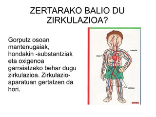 ZERTARAKO BALIO DU
ZIRKULAZIOA?
Gorputz osoan
mantenugaiak,
hondakin -substantziak
eta oxigenoa
garraiatzeko behar dugu
zirkulazioa. Zirkulazioaparatuan gertatzen da
hori.

 