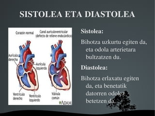 SISTOLEA ETA DIASTOLEA Sistolea: 