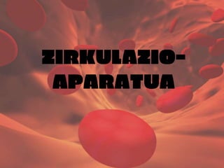ZIRKULAZIO-
APARATUA
 