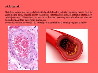 a) Arteriak
Sistolean zehar, aortak eta bihotzetik hurbil dauden arteria nagusiek presio handia
jasan behar dute, beraien zuntz elastikoak luzatzen direlarik, bihotzetik irteten den
odola jasotzeko. Diastolean, ordea, indar horiek beren egoerara bueltatzen dira eta
odola kanpoaldera zuzendua izango da.
Tentsio arteriala sistoleko 120 mmHg-tik diastoleko 80 mmHg-ra jaitsi daiteke.
 