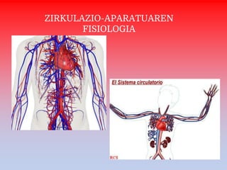 ZIRKULAZIO-APARATUAREN
FISIOLOGIA
 