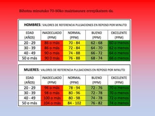 Bihotza minutuko 70-80ko maiztasunez errepikatzen da.
 