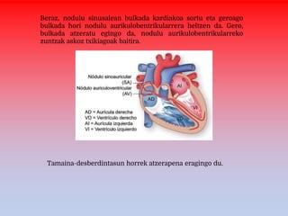 Beraz, nodulu sinusalean bulkada kardiakoa sortu eta geroago
bulkada hori nodulu aurikulobentrikularrera heltzen da. Gero,
bulkada atzeratu egingo da, nodulu aurikulobentrikularreko
zuntzak askoz txikiagoak baitira.
Tamaina-desberdintasun horrek atzerapena eragingo du.
 