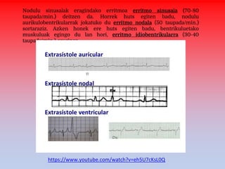 Nodulu sinusalak eragindako erritmoa erritmo sinusala (70-80
taupada/min.) deitzen da. Horrek huts egiten badu, nodulu
aurikulobentrikularrak jokatuko du erritmo nodala (50 taupada/min.)
sortaraziz. Azken honek ere huts egiten badu, bentrikuluetako
muskuluak egingo du lan hori, erritmo idiobentrikularra (30-40
taupada/min.) eraginez.
https://www.youtube.com/watch?v=eh5U7cKsL0Q
 