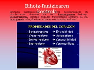 Bihotz-funtzioaren
kontrolaBihotzeko muskulu-zelula guztiek berez despolarizatzeko eta
birpolarizatzeko ahalmena dute. Horri kronotropismoa deritzogu.
Dromotropismoa, sortutako bulkadak transmititzeko ahalmena da eta,
inotropismoa, indar jakin batez uzkurdura sorrarazteko ahalmena.
 