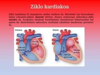 Ziklo kardiakoa
Ziklo kardiakoa bi taupadaren arteko multzoa da. Bihotzeko lau barrunbeek
duten erlaxazio-aldiari diastole deritzo. Honen ondorengo uzkurdura-aldia
sistolea da. Aurikulen sistoleak bentrikuluen diastolearen bukaerarekin bat
egiten du. Bentrikuluen uzkurdura aurikulak zabalduta daudenean gertatzen
da.
 