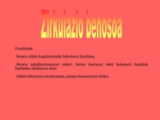 Funtzioak:
-Benen odola kapilarretatik bihotzera itzultzea.
-Benen zabalkortasunari esker, beren barnean odol bolumen handiak
hartzeko ahalmena dute.
-Odola bihotzera itzularaztea, ponpa benosoaren bidez.
 