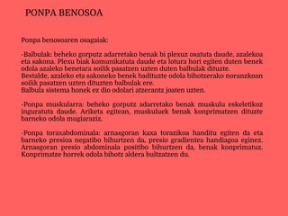 Ponpa benosoaren osagaiak:
-Balbulak: beheko gorputz adarretako benak bi plexuz osatuta daude, azalekoa
eta sakona. Plexu biak komunikatuta daude eta lotura hori egiten duten benek
odola azaleko benetara soilik pasatzen uzten duten balbulak dituzte.
Bestalde, azaleko eta sakoneko benek badituzte odola bihotzerako noranzkoan
soilik pasatzen uzten dituzten balbulak ere.
Balbula sistema honek ez dio odolari atzerantz joaten uzten.
-Ponpa muskularra: beheko gorputz adarretako benak muskulu eskeletikoz
inguratuta daude. Ariketa egitean, muskuluek benak konprimatzen dituzte
barneko odola mugiaraziz.
-Ponpa toraxabdominala: arnasgoran kaxa torazikoa handitu egiten da eta
barneko presioa negatibo bihurtzen da, presio gradientea handiagoa eginez.
Arnasgoran presio abdominala positibo bihurtzen da, benak konprimatuz.
Konprimatze horrek odola bihotz aldera bultzatzen du.
PONPA BENOSOA
 
