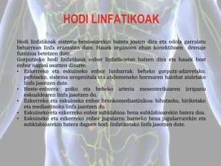 HODI LINFATIKOAK
Hodi linfatikoak sistema-benosoarekin batera joaten dira eta odola garraiatu
beharrean linfa eramaten dute. Hauek organoen ehun konektiboen drenaje
funtzioa betetzen dute.
Gorputzeko hodi linfatikoak enbor linfatikoetan batzen dira eta hauek bost
enbor nagusi osatzen dituzte:
• Ezkerreko eta eskuineko enbor lunbarrak: beheko gorputz-adarretako,
pelbiseko, sistema urogenitala eta abdomeneko hormaren hainbat ataletako
linfa jasotzen dute.
• Heste-enborra: goiko eta beheko arteria mesenterikoaren irrigazio
eskualdearen linfa jasotzen du.
• Ezkerreko eta eskuineko enbor bronkomediastinikoa: bihotzeko, biriketako
eta mediastinoko linfa jasotzen du.
• Eskuineko eta ezkerreko enbor subklabioa: bena subklabioarekin batera doa.
• Eskuineko eta ezkerreko enbor jugularra: barneko bena jugularrarekin eta
subklabioarekin batera dagoen hodi linfatikotako linfa jasotzen dute.
 