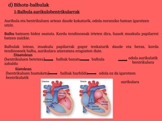 d) Bihotz-balbulak
1-Balbula aurikulobentrikularrak
Aurikula eta bentrikuluen artean daude kokaturik, odola noranzko batean igarotzen
utziz.
Balba batzuen bidez osatuta. Korda tendinosoak irteten dira, hauek muskulu papilarrei
batzen zaizkie.
Balbulak ixtean, muskulu papilarrak gogor tenkaturik daude eta beraz, korda
tendinosoek balba, aurikulara atzeratzea eragozten dute.
Diastolean
(bentrikuluen betetzea) balbak banatu balbula
zabaldu
odola aurikulatik
bentrikulura
Sistolean
(bentrikuluen hustuketa) balbak hurbildu odola ez da igarotzen
bentrikulutik
aurikulara
 