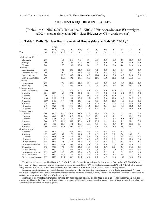 Horse nutrition and feeding