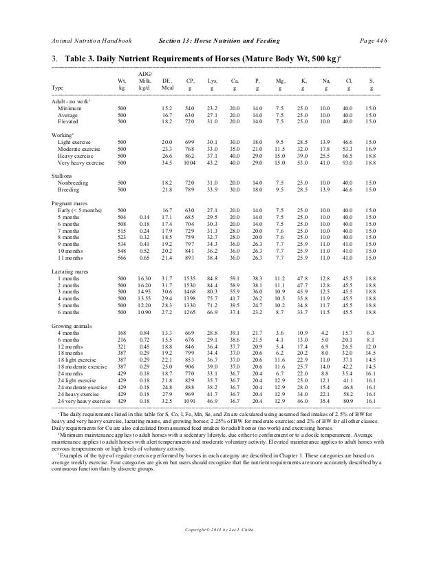 Horse nutrition and feeding