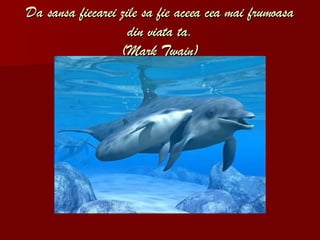 Da sansa fiecarei zile sa fie aceea cea mai frumoasa din viata ta. (Mark Twain) 