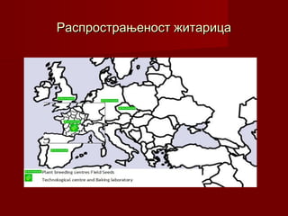 Распрострањеност житарица
 
