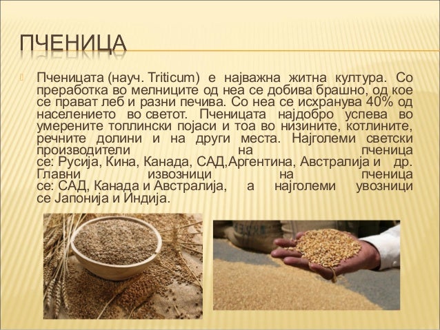 Житарки