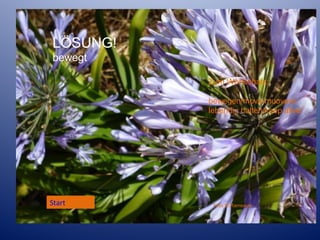 LÖSUNG!
bewegt
Zum Wortschatz:
bewegen/move/muovere
lebendig halten/keep alive/

Start Start

Foto M.Ramsauer

 