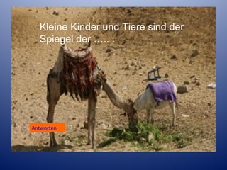 Kleine Kinder und Tiere sind der
Spiegel der ….. .

Antworten
Antworten

 