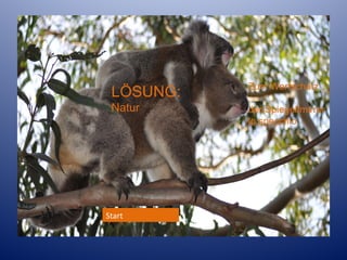 LÖSUNG:

Zum Wortschatz

Natur

der Spiegel/mirror
lo specchio

Start

 