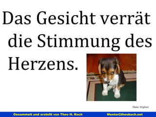 Ludwig Erhard j0326874 Kompromisse setzen die Beherrschung der Kunst voraus, eine Torte so  aufzuschneiden, dass jeder glaubt, er habe das größte Stück bekommen.  