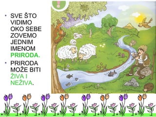• SVE ŠTO
VIDIMO
OKO SEBE
ZOVEMO
JEDNIM
IMENOM
PRIRODA.
• PRIRODA
MOŽE BITI
ŽIVA I
NEŽIVA.
 