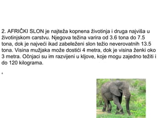 2. AFRIČKI SLON je najteža kopnena životinja i druga najviša u
životinjskom carstvu. Njegova težina varira od 3.6 tona do 7.5
tona, dok je najveći ikad zabeleženi slon težio neverovatnih 13.5
tona. Visina mužjaka može dostići 4 metra, dok je visina ženki oko
3 metra. Očnjaci su im razvijeni u kljove, koje mogu zajedno težiti i
do 120 kilograma.
4

 