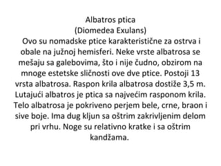 Albatros ptica
(Diomedea Exulans)
Ovo su nomadske ptice karakteristične za ostrva i
obale na južnoj hemisferi. Neke vrste albatrosa se
mešaju sa galebovima, što i nije čudno, obzirom na
mnoge estetske sličnosti ove dve ptice. Postoji 13
vrsta albatrosa. Raspon krila albatrosa dostiže 3,5 m.
Lutajući albatros je ptica sa najvećim rasponom krila.
Telo albatrosa je pokriveno perjem bele, crne, braon i
sive boje. Ima dug kljun sa oštrim zakrivljenim delom
pri vrhu. Noge su relativno kratke i sa oštrim
kandžama.

 