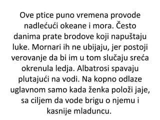 Ove ptice puno vremena provode
nadlećući okeane i mora. Često
danima prate brodove koji napuštaju
luke. Mornari ih ne ubijaju, jer postoji
verovanje da bi im u tom slučaju sreća
okrenula ledja. Albatrosi spavaju
plutajući na vodi. Na kopno odlaze
uglavnom samo kada ženka položi jaje,
sa ciljem da vode brigu o njemu i
kasnije mladuncu.

 