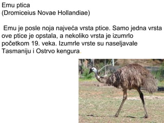 Emu ptica
(Dromiceius Novae Hollandiae)
Emu je posle noja najveća vrsta ptice. Samo jedna vrsta
ove ptice je opstala, a nekoliko vrsta je izumrlo
početkom 19. veka. Izumrle vrste su naseljavale
Tasmaniju i Ostrvo kengura.

 