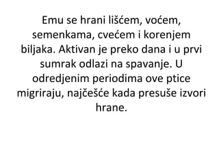Emu se hrani lišćem, voćem,
semenkama, cvećem i korenjem
biljaka. Aktivan je preko dana i u prvi
sumrak odlazi na spavanje. U
odredjenim periodima ove ptice
migriraju, najčešće kada presuše izvori
hrane.

 