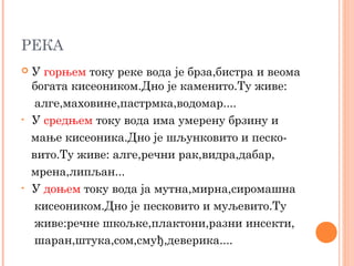 РЕКА
 У горњем току реке вода је брза,бистра и веома
богата кисеоником.Дно је каменито.Ту живе:
алге,маховине,пастрмка,водомар....
• У средњем току вода има умерену брзину и
мање кисеоника.Дно је шљунковито и песко-
вито.Ту живе: алге,речни рак,видра,дабар,
мрена,липљан...
• У доњем току вода ја мутна,мирна,сиромашна
кисеоником.Дно је песковито и муљевито.Ту
живе:речне шкољке,плактони,разни инсекти,
шаран,штука,сом,смуђ,деверика....
 