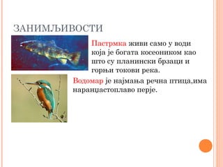 ЗАНИМЉИВОСТИ
Пастрмка живи само у води
која је богата косеоником као
што су планински брзаци и
горњи токови река.
Водомар је најмања речна птица,има
наранџастоплаво перје.
 