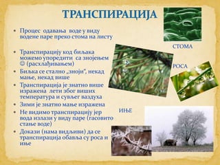  Процес одавања воде у виду
    водене паре преко стома на листу
                                            СТОМА
 Транспирацију код биљака
    можемо упоредити са знојењем
     (расхлађивањем)                       РОСА
   Биљка се стално „зноји“, некад
    мање, некад више
   Транспирација је знатно више
    изражена лети због виших
    температура и сувљег ваздуха
   Зими је знатно мање изражена
   Не видимо транспирацију јер       ИЊЕ
    вода излази у виду паре (гасовито
    стање воде)
   Докази (нама видљиви) да се
    транспирација обавља су роса и
    иње
 