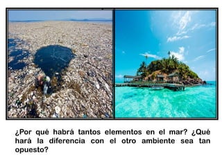 ¿Por qué habrá tantos elementos en el mar? ¿Qué
hará la diferencia con el otro ambiente sea tan
opuesto?
 
